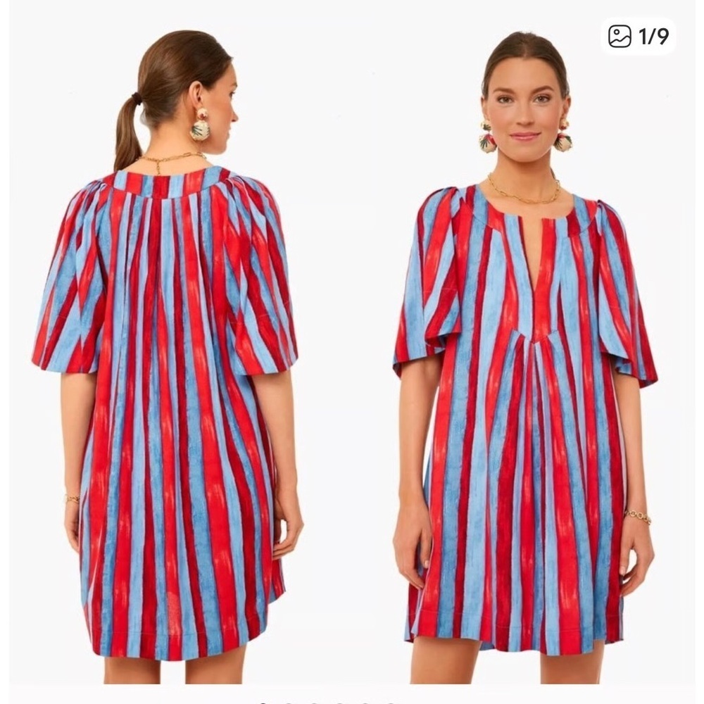 Tuckernuck Pomander Place Painterly Stripe Finley Flutter Sleeve Dress Medium
